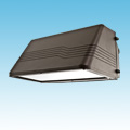 24VDC Solar Compatible Induction Wall Pack of 24VDC Wall Pack Lighting category Neptun SKU Induction - 14" 21xxxFCT Series